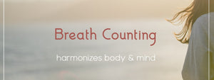 Breath Counting! Simple and accessible