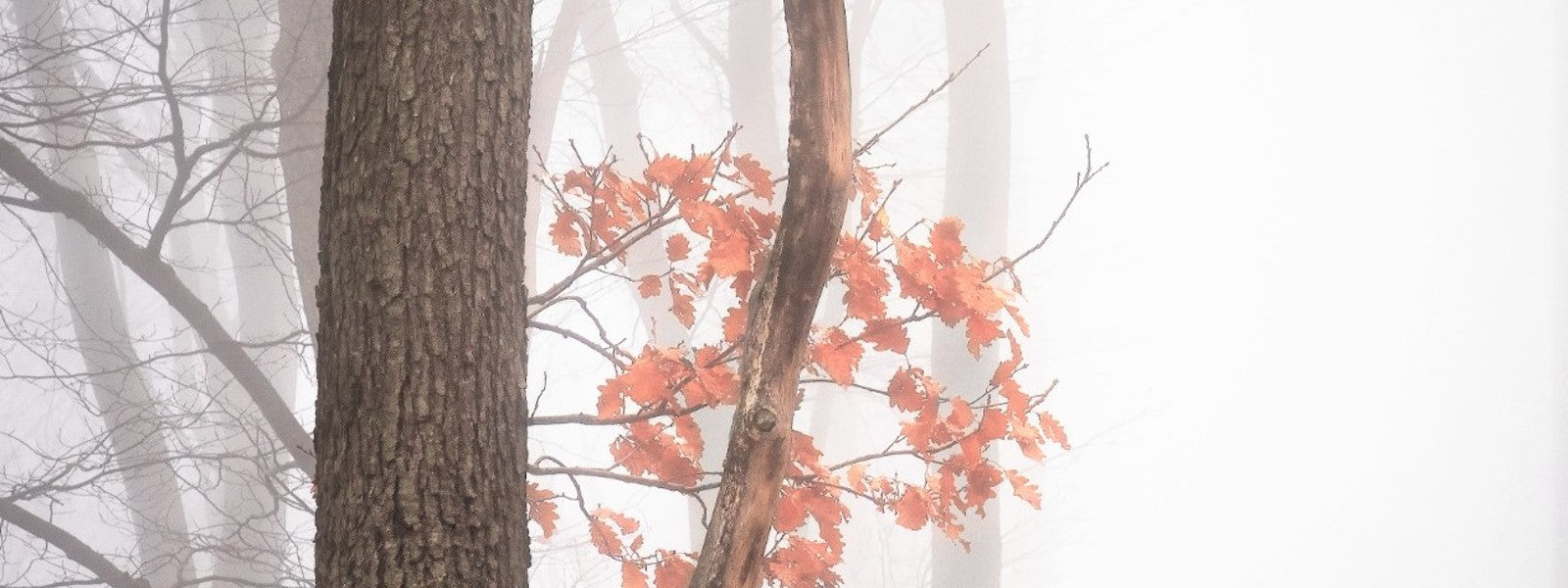 EVERY DAY SHOULD BE EARTH DAY!